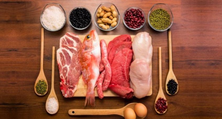 علائم و نشانه های کمبود پروتئین