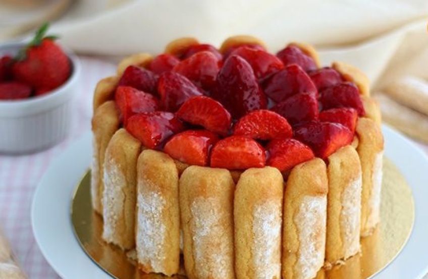 آموزش تهیه شارلوت میوه ای با ژله