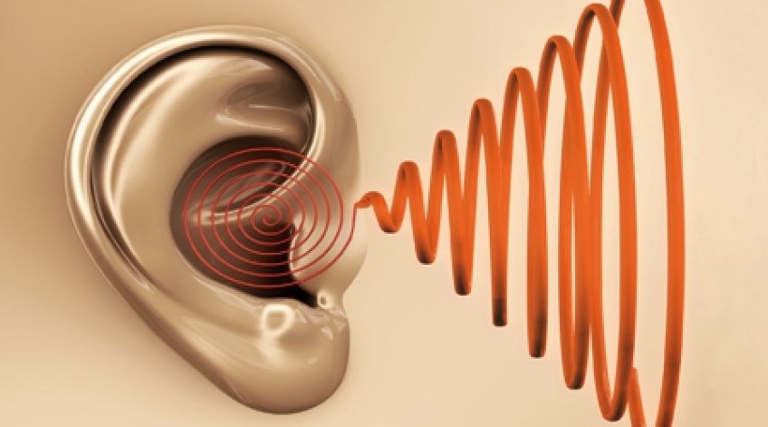 دلایل وزوز گوش را بشناسیم