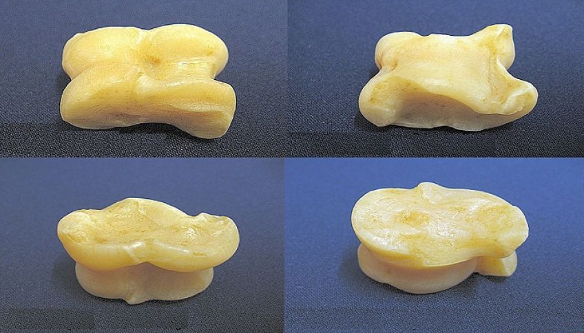 ریشه و کاربرد ضرب المثل بز بیاری