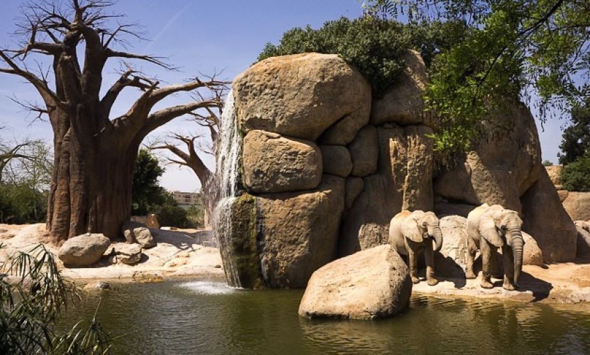 باغ وحش بیو پارک شهر والنسیا کشور اسپانیا از بهترین باغ وحش های دنیا