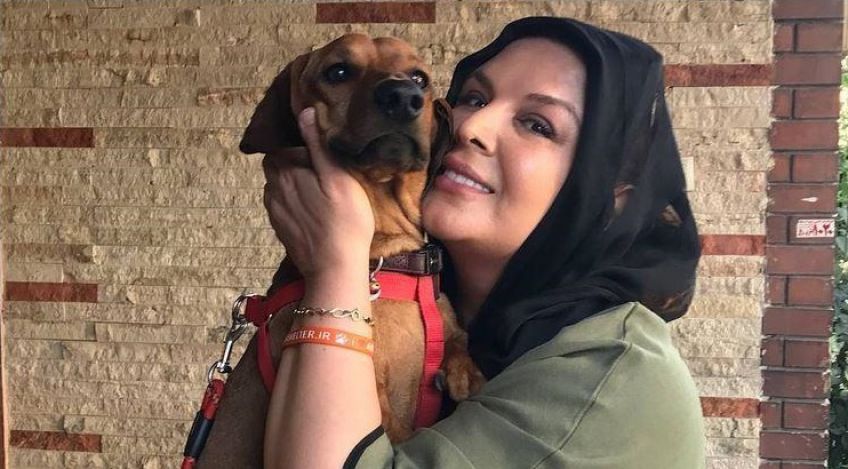 آیا شهره سلطانی به خاطر حیوان خانگی خود ممنوع التصویر شد