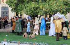 جشن عروسی درخت نارنج در شیراز