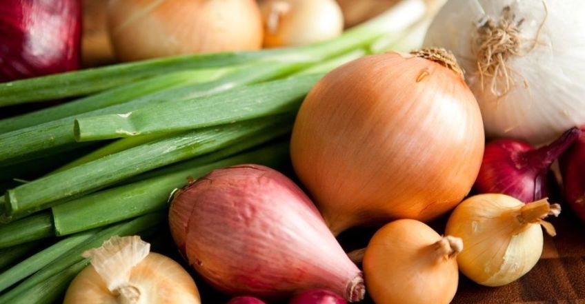 کاربرد انواع پیاز در آشپزی
