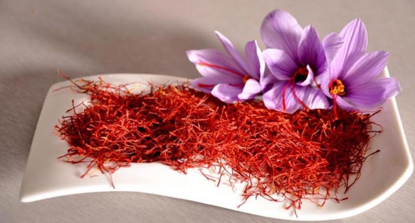 زعفران محبوب ترین سوغات خراسان رضوی
