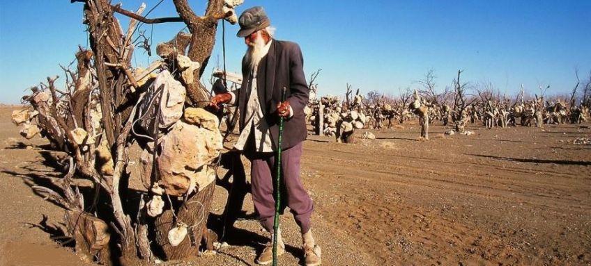باغ سنگی سیرجان استان کرمان باغ بی برگی درویش خان