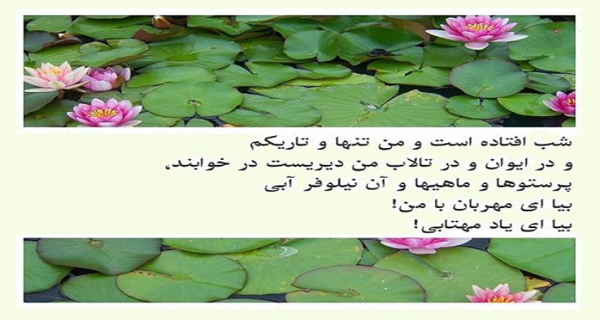 شعر زیبای بیا ای مهربان با من از مهدی اخوان ثالث