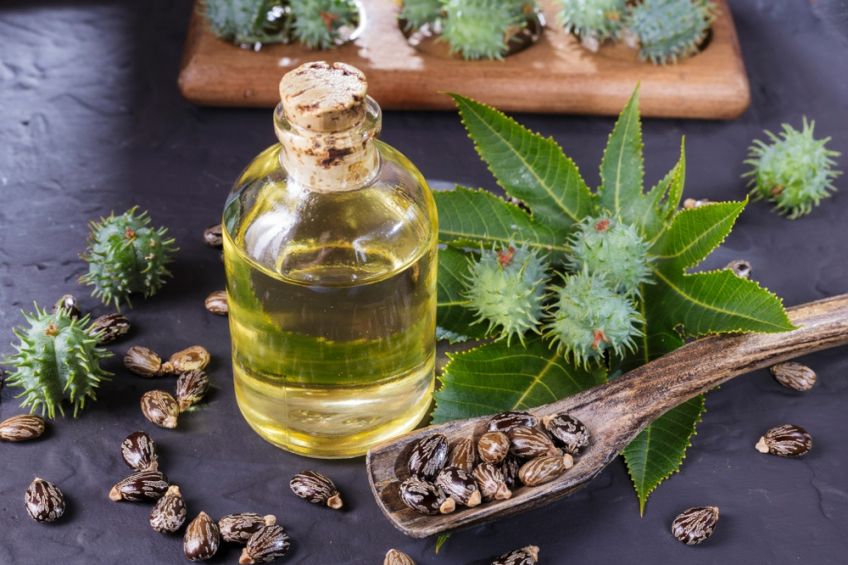از روغن کرچک برای زیبایی و سلامتی استفاده کنیم