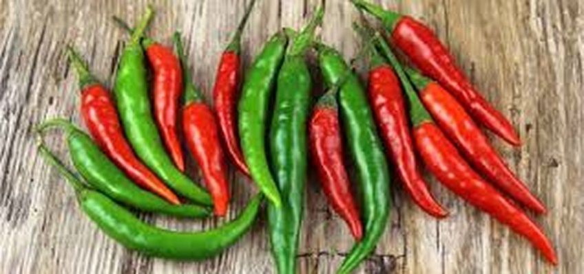 دستور تهیه ترشی فلفل