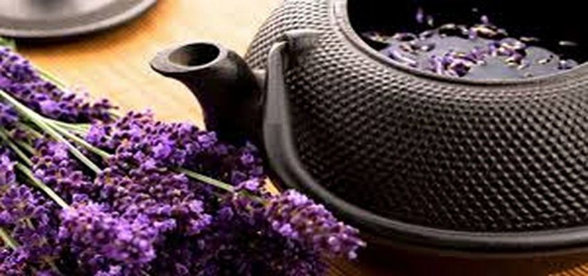 طرز تهیه دمنوش گیاهی گل گاوزبان