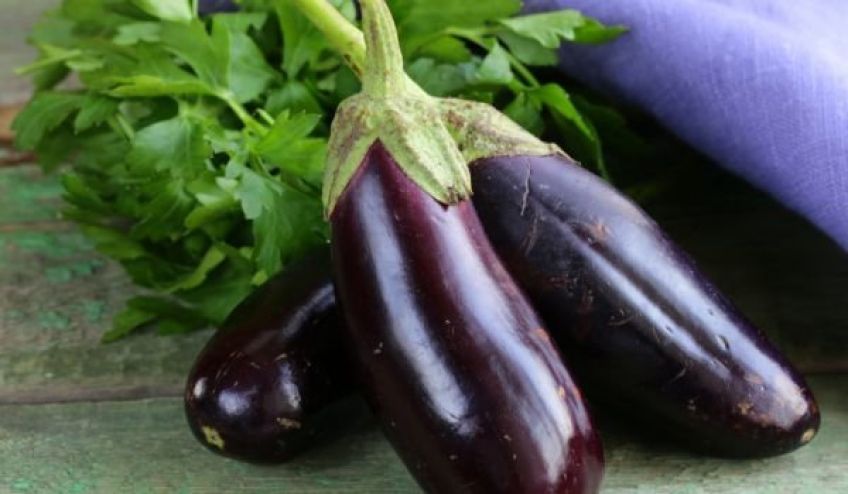 روش های گرفتن تلخی بادمجان