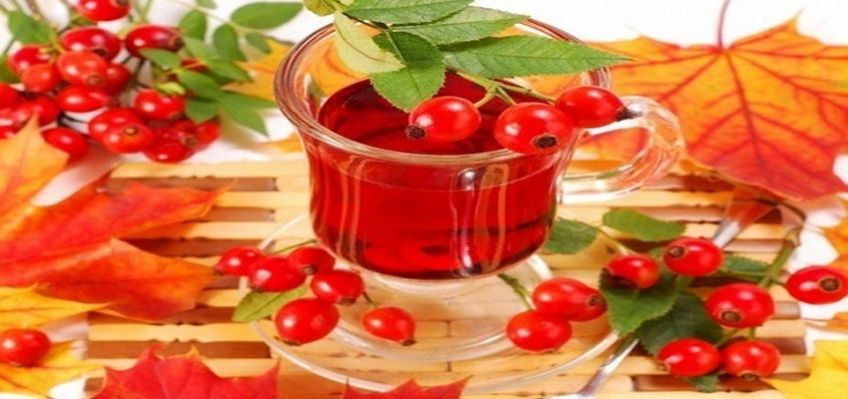 روش آماده کردن دمنوش گیاهی میوه گل نسترن