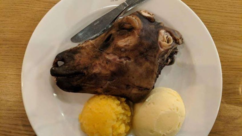 موزه چندش آورترین غذا های دنیا در  سوئد