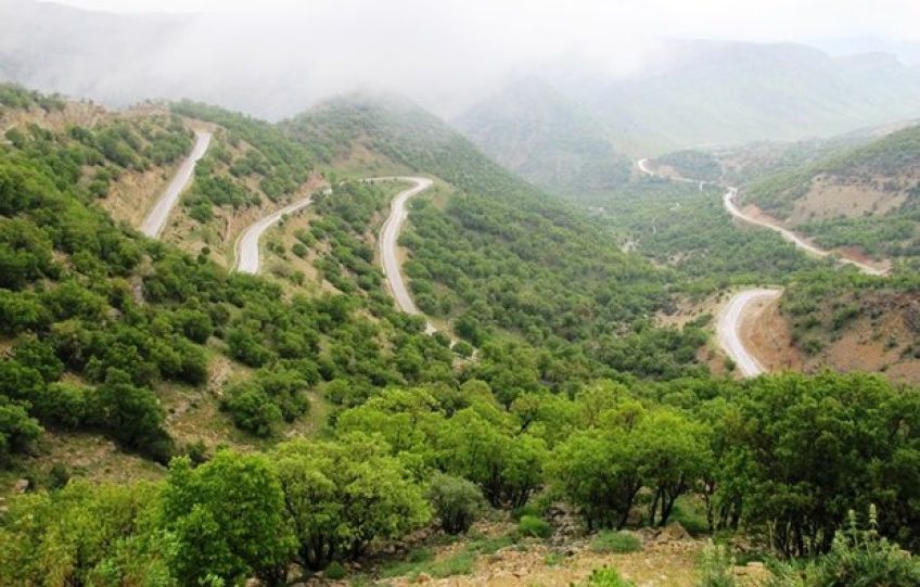 گردشگاه میان کتل استان فارس زیستگاه گوزن زرد ایرانی