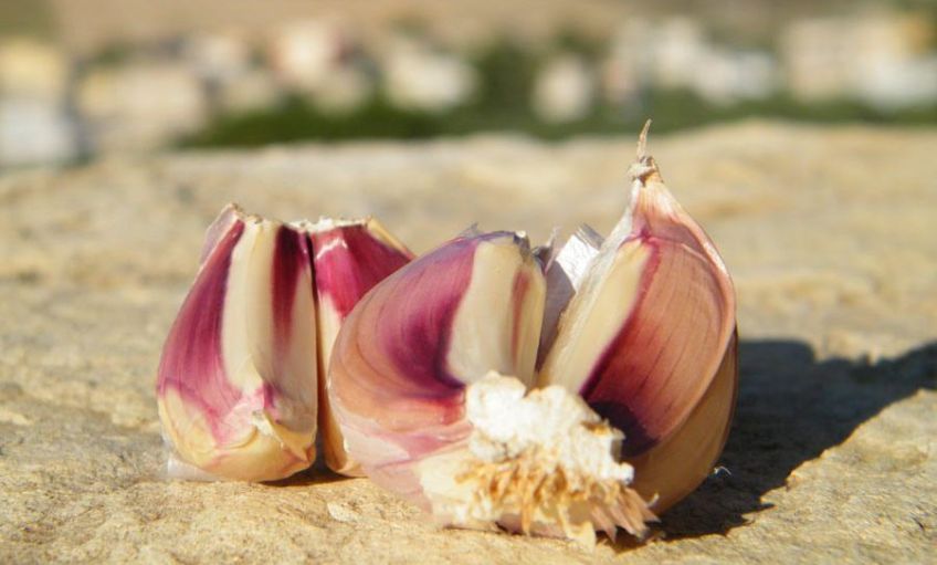 چرا مصرف سیر باعث چربی سوزی می شود