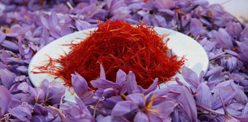 خواص چای زعفران را بشناسیم