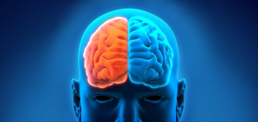 تفاوت عملکرد نیمکره راست و چپ مغز