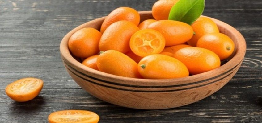 دستور آماده کردن مربای کامکوات