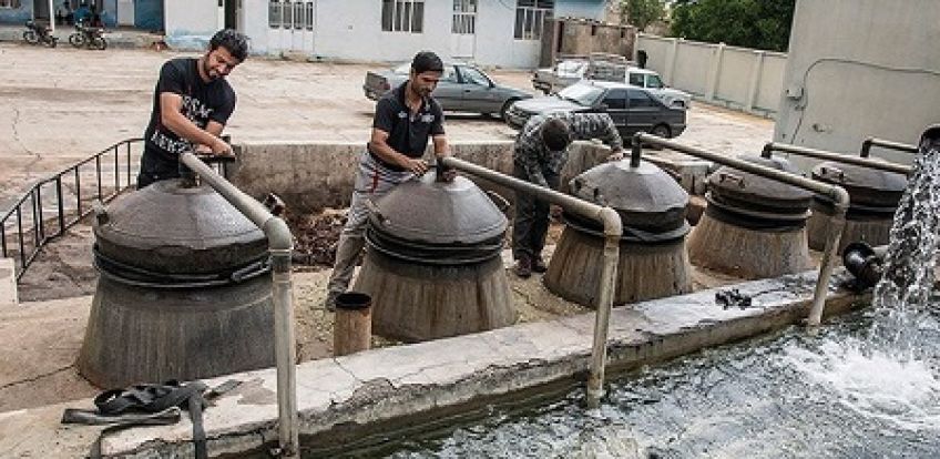 خواص عرق چهل گیاه و معجزات دارویی آن