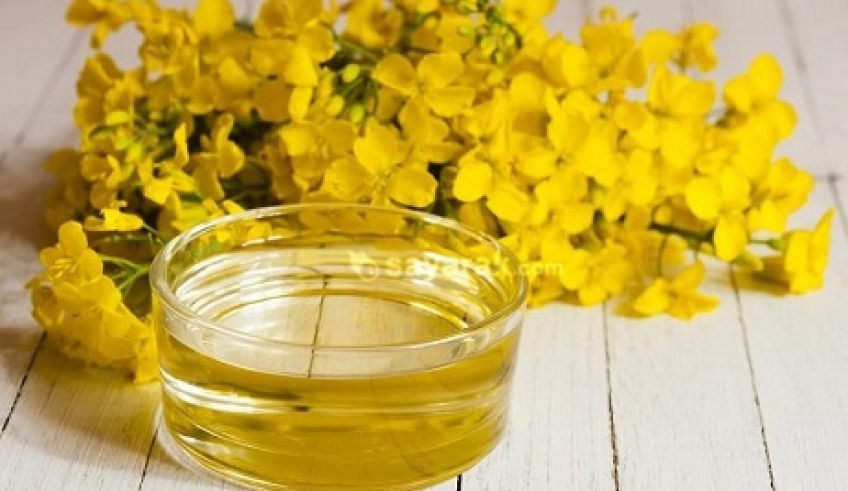 روغن گل پامچال درمان درد ها