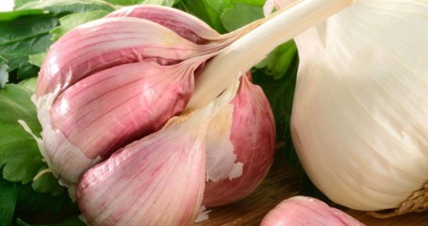 خواص بی نظیر موسیر برای سلامتی