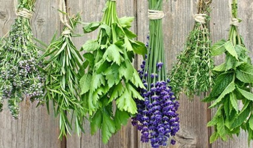 چگونگی استفاده از سبزیجات معطر در آشپزی