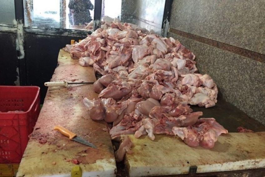 تبدیل پیه مرغ به گازوئیل