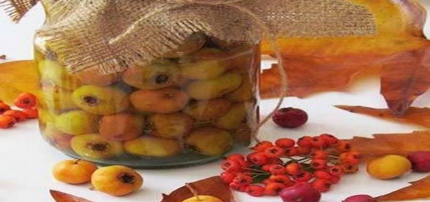 طرز تهیه ترشی زالزالک