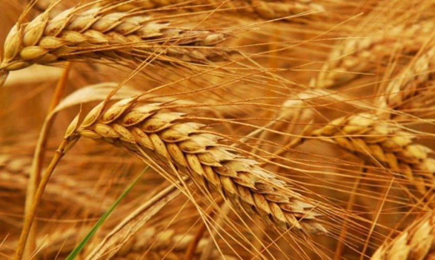آداب خمس و زکات در اسلام
