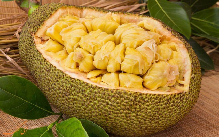 میوه جک فروت را جایگزین گوشت قرمز کنید