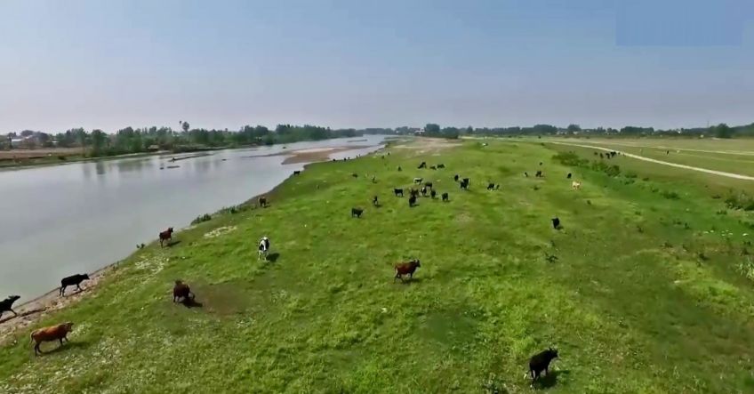 پارک ملی بوجاق بندر کیاشهر استان گیلان نخستین پارک ملی خشکی دریایی ایران