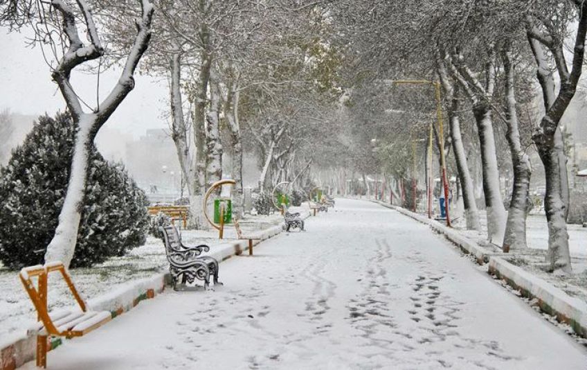 دلیل سکوت روزهای برفی چیست