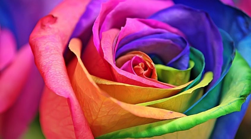 نحوه چیدن گل های مختلف در جعبه یا باکس