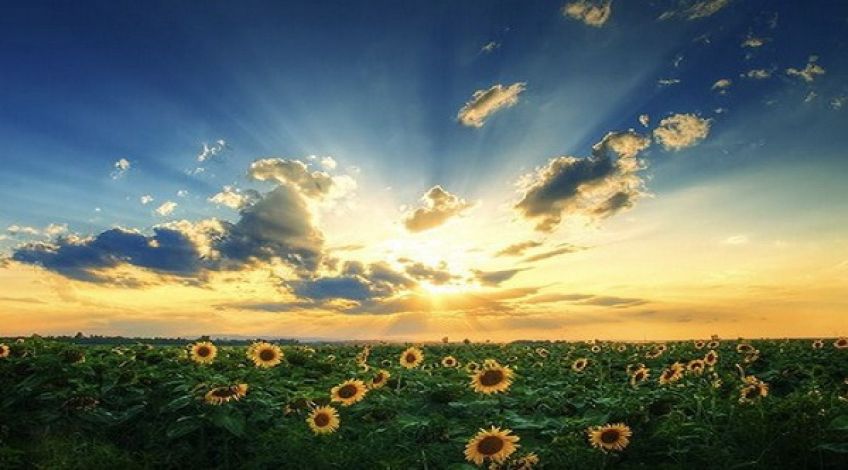 شعر زیبای صبح دلاویز از شاعر معاصر فریدون مشیری