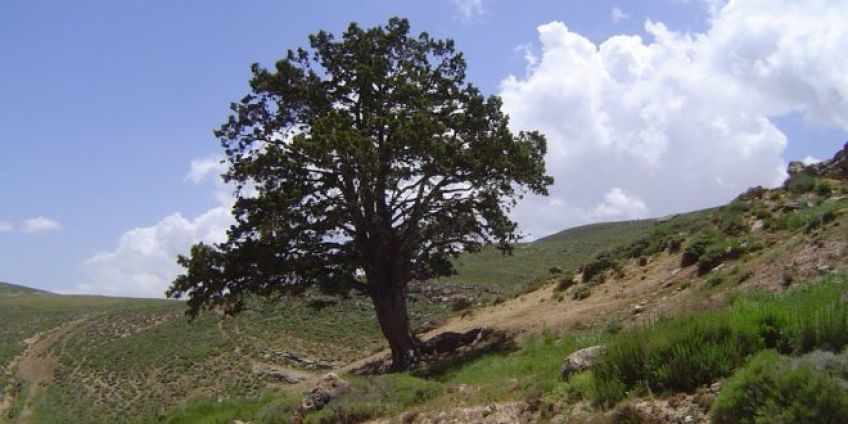 خوش ییلاق شاهرود در استان سمنان