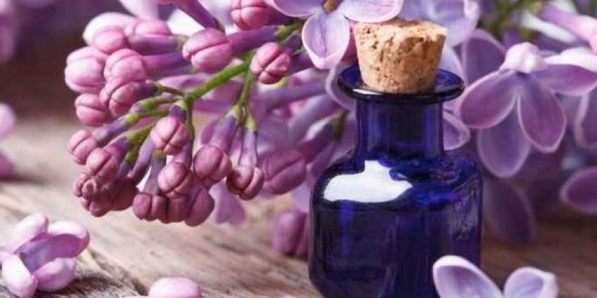 از خواص روغن بنفشه چه می دانید