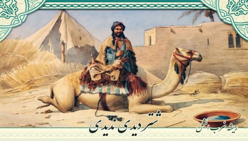 داستان و کاربرد ضرب المثل شتر دیدی ندیدی