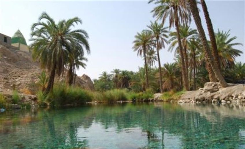 چشمه سبز پوشان شهرستان حاجی آباد استان هرمزگان