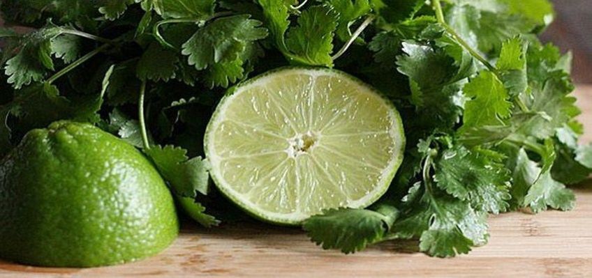 طرز تهیه سس گشنیز