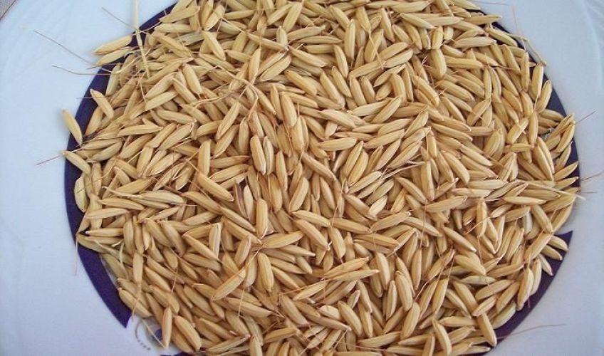 15 خاصیت درمانی جو دوسر