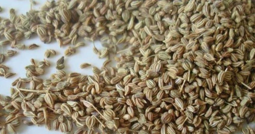 خواص درمانی زنیان