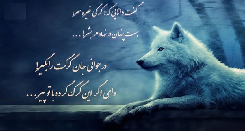 شعر زیبا و مفهومی گرگ درون از شاعر معاصر فریدون مشیری