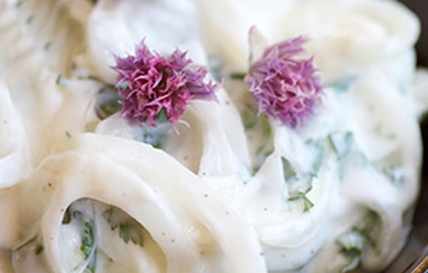 نحوه تهیه سالاد چاتنی ماست هندی