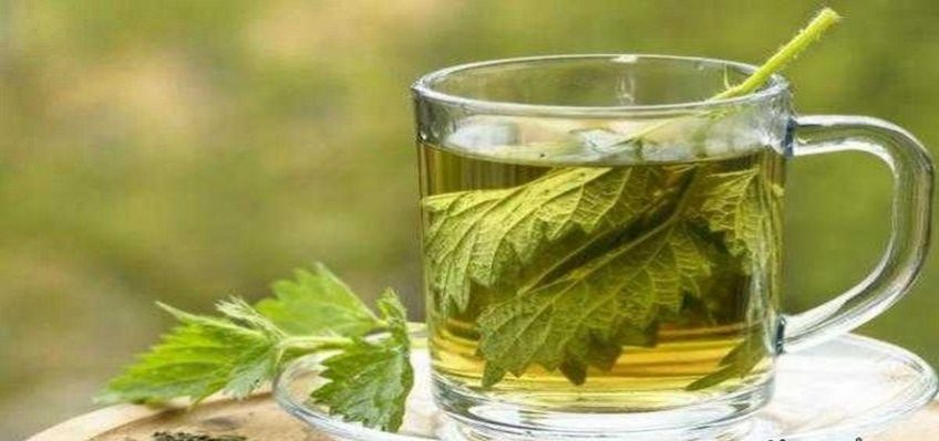 روش درست کردن دمنوش گیاهان تازه