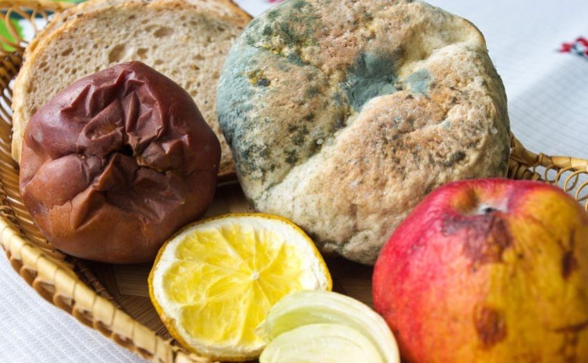 علت کپک زدن مواد غذایی