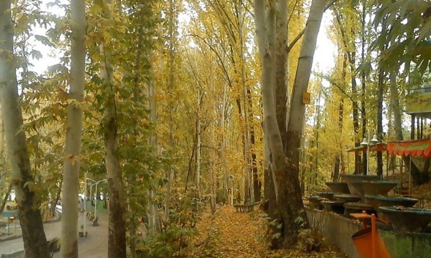 پارک جنگلی طرق مشهد یکی از بزرگترین پارک‌ های جنگلی ایران