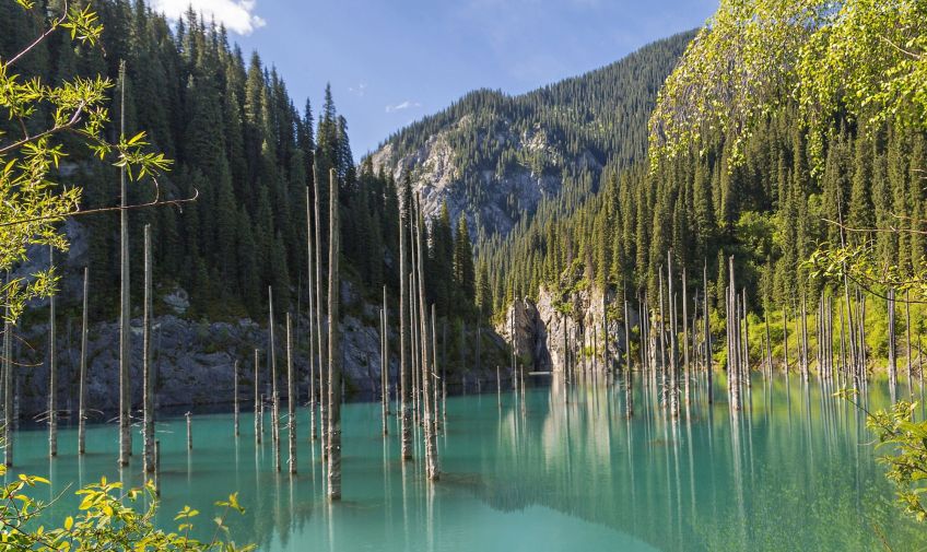 دریاچه کیندی قزاقستان یکی از شگفت ترین دریاچه های جهان