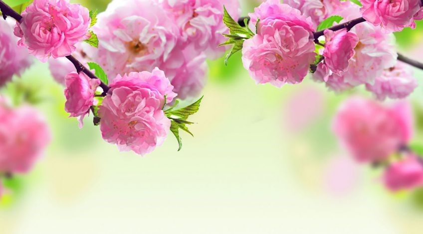 اعمال و فضیلت های روز و شب جمعه