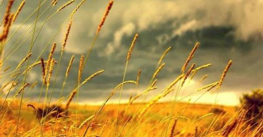 حدیث امام جواد علیه ‏السلام درباره زیارت مرقد حضرت معصومه سلام الله