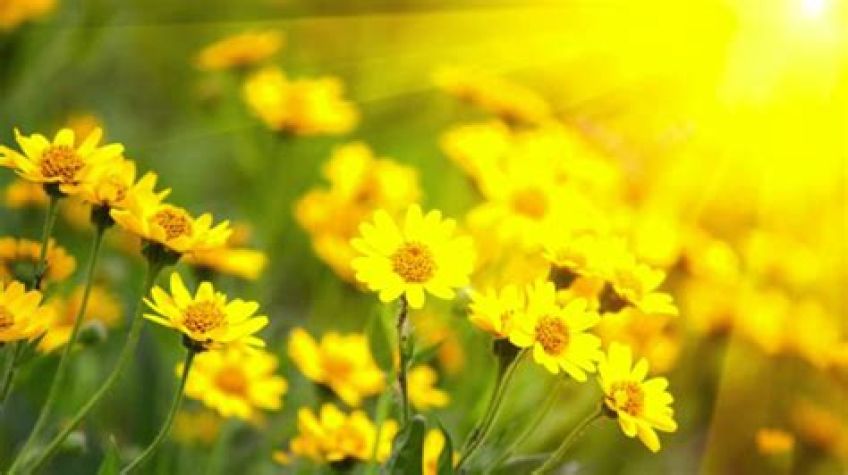 حدیث امام کاظم علیه ‏السلام درباره احسان و نیکوکاری